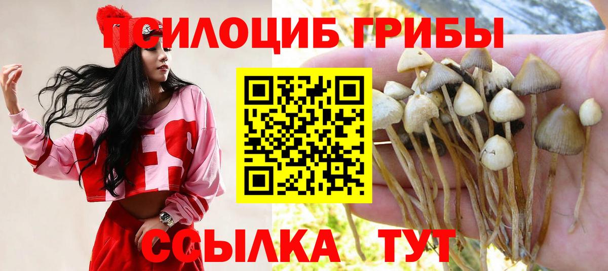 Галлюциногенные грибы Psilocybine cubensis Михайловка